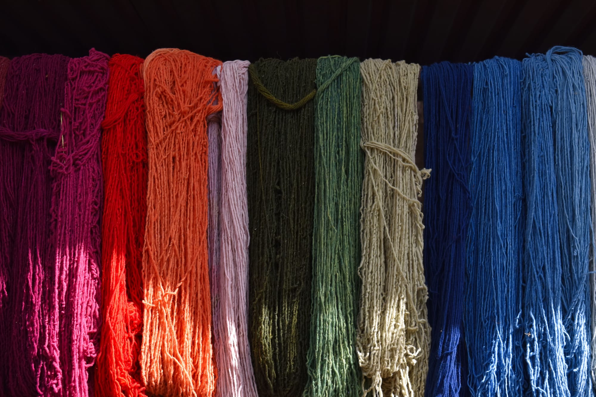 Hanks of dyed yarn in saturated colour