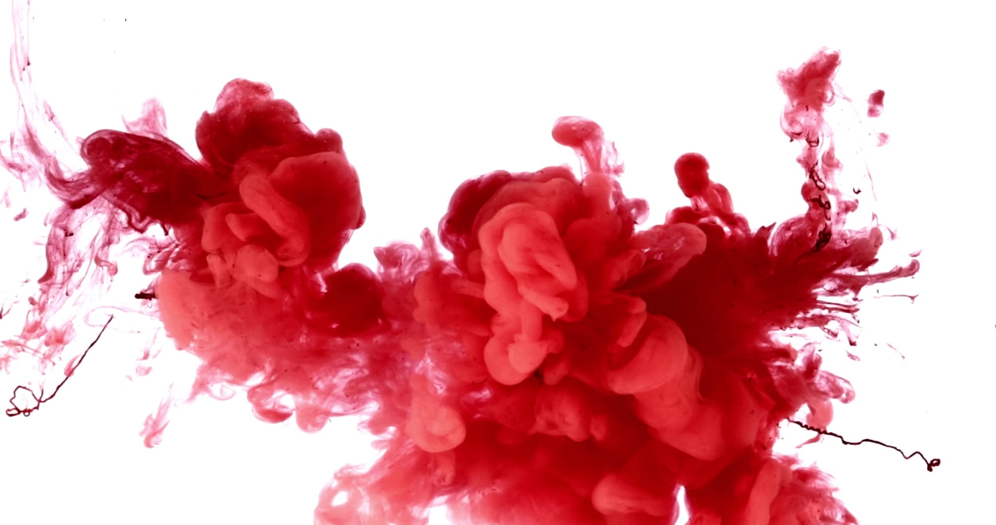 Dye colour dispersing through water, close up